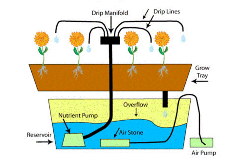 سیستم Ebb & Flow / Flood & Drain